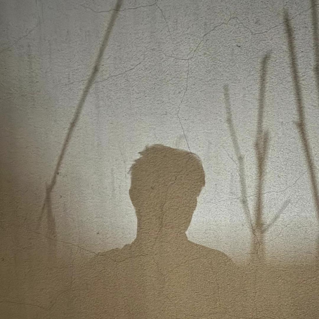 布吉岛是岛吖🙈