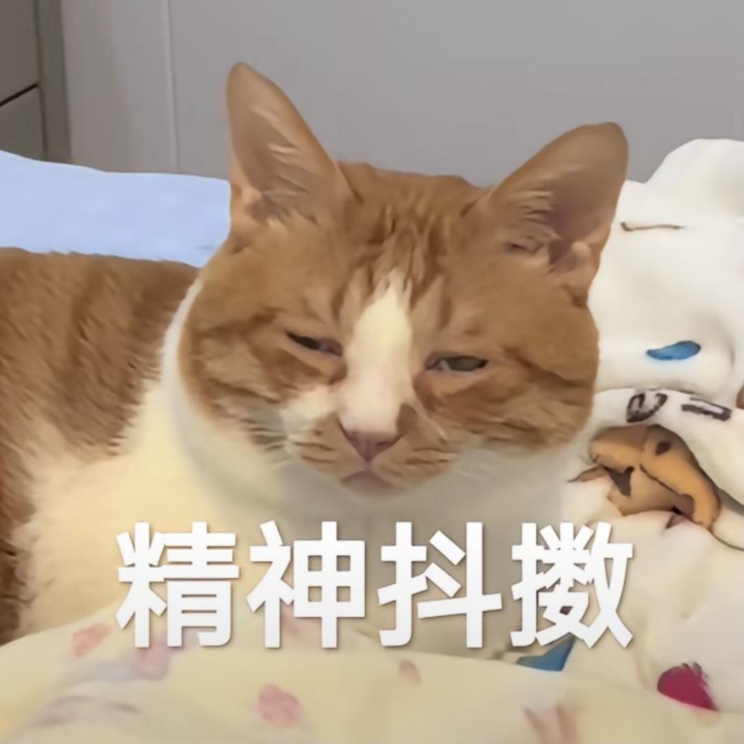小吃侠