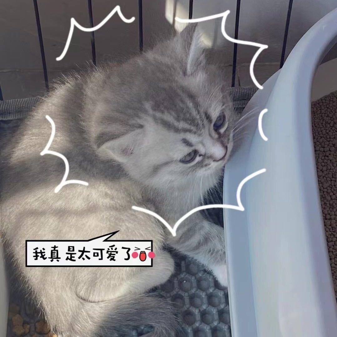 一點點晚风.