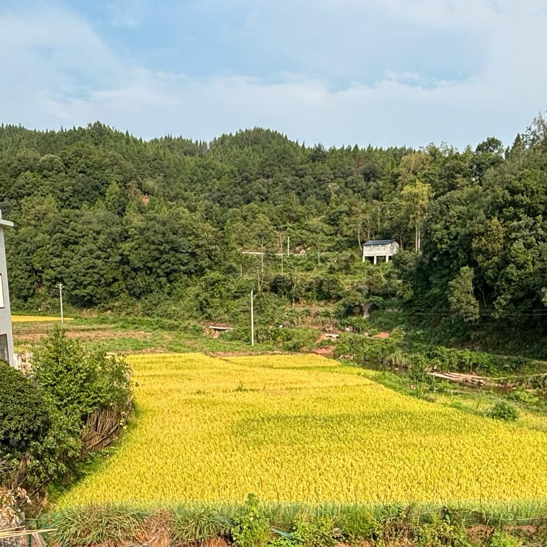 不再见