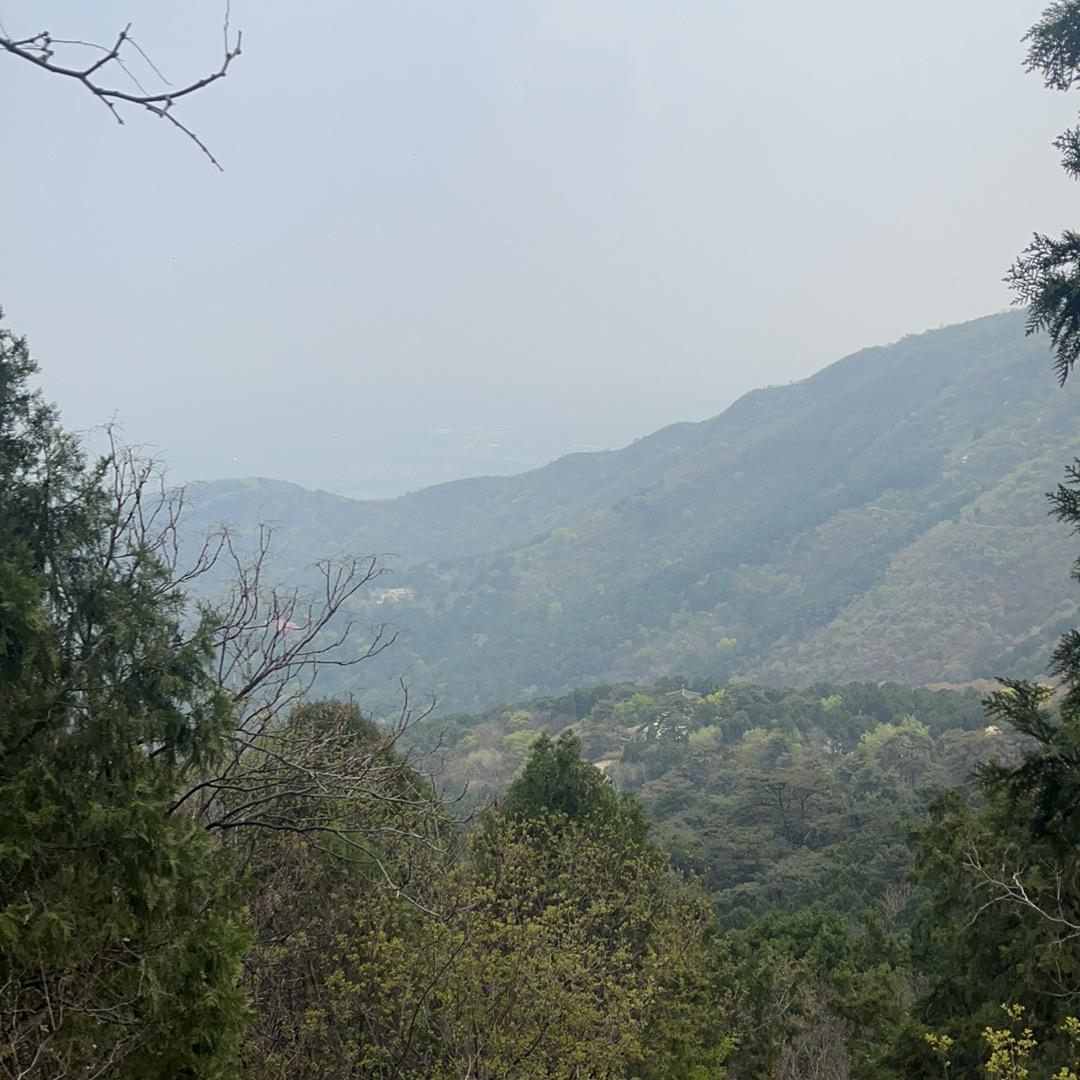 晚风吹过