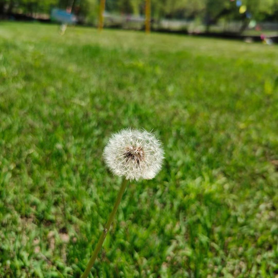 越来越好