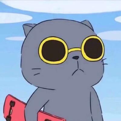 这条小鱼🐟很在乎Freedom🙃