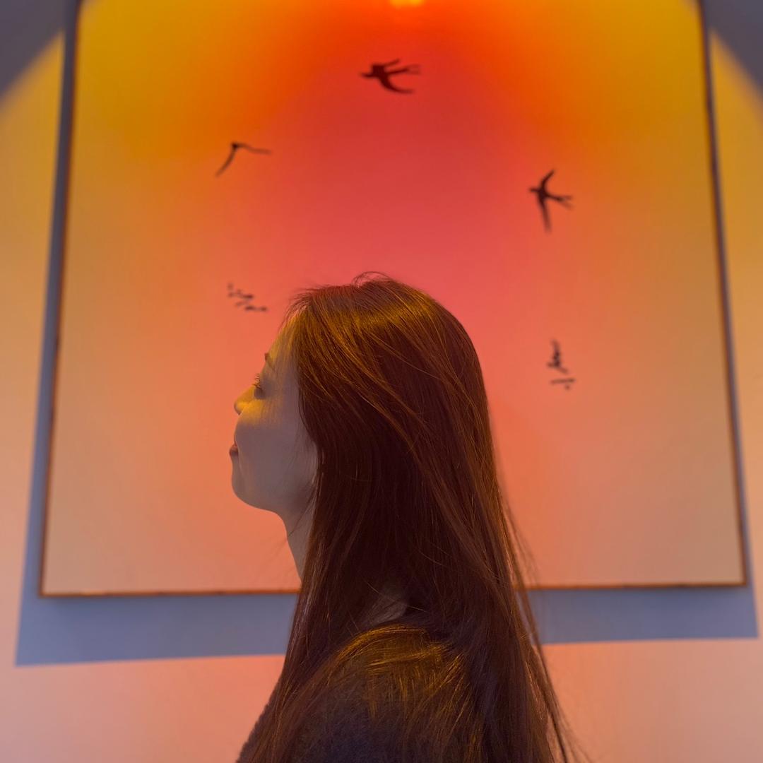 张肉肉  （首播筹备中）