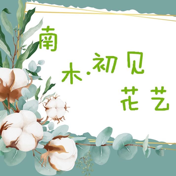 南木•初见花艺绿植