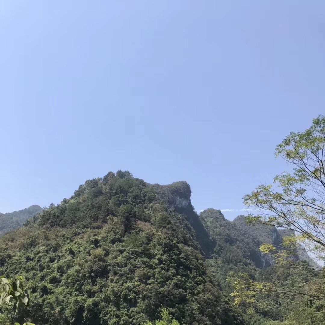 小透明🐑