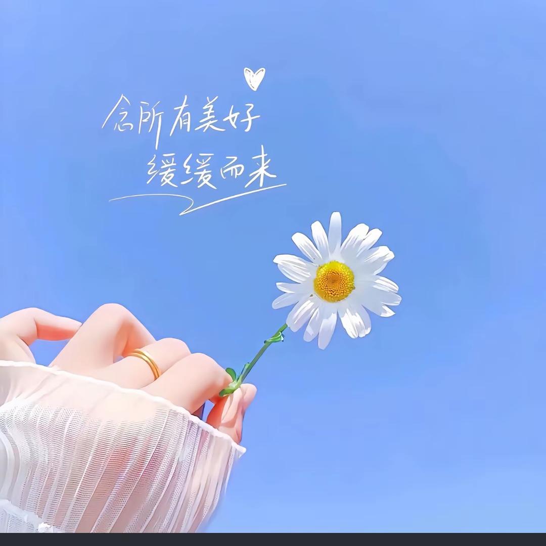 小懒猫