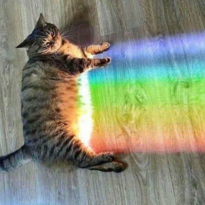 怒橙