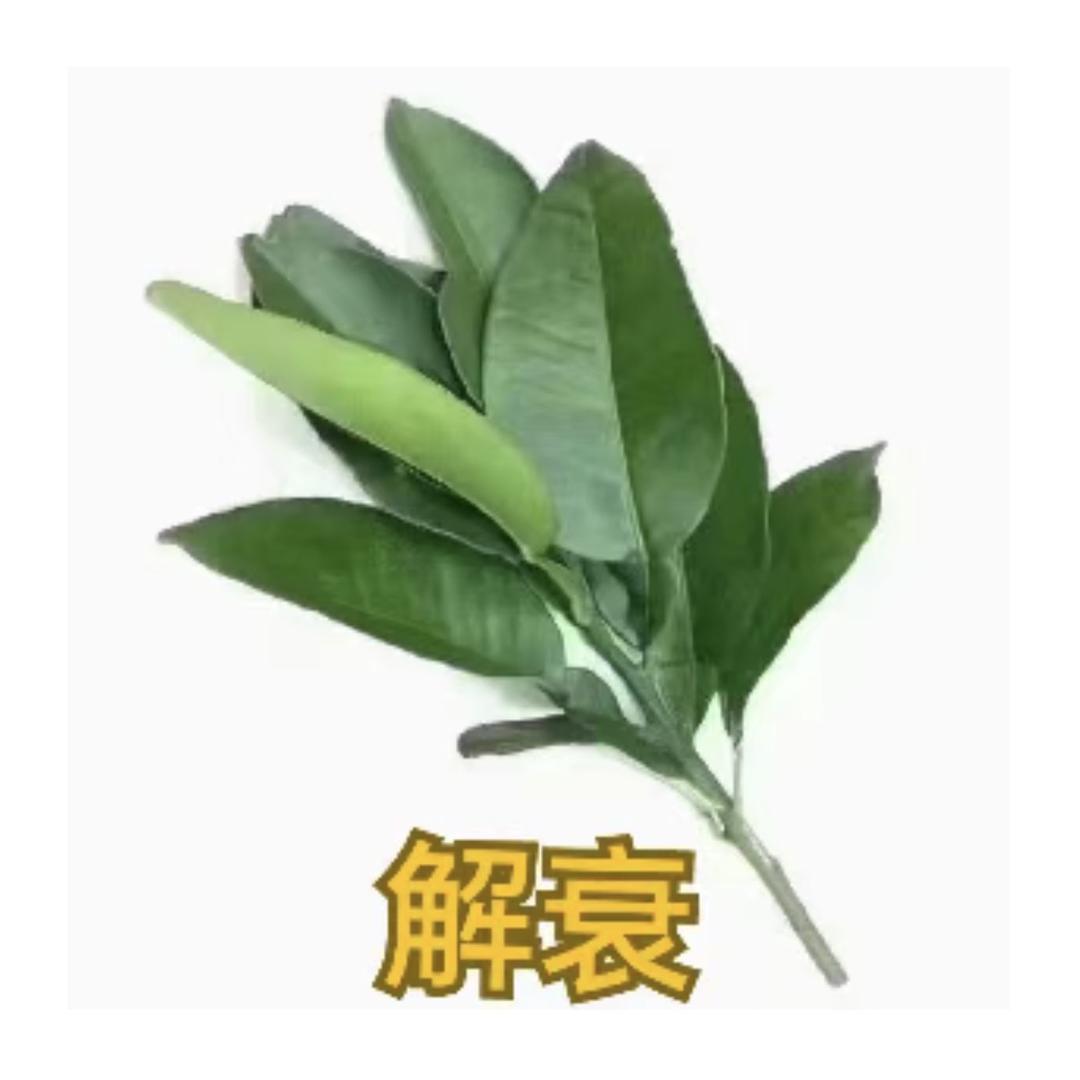 帅哥顺
