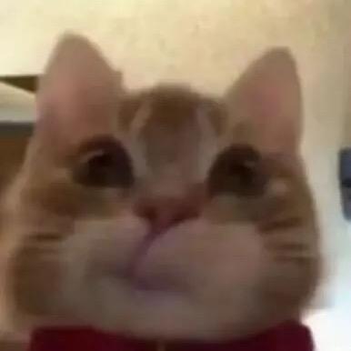 巧乐兹.