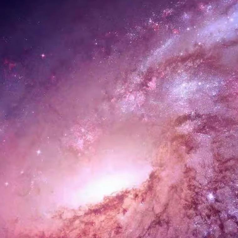 大青虫子啃树皮