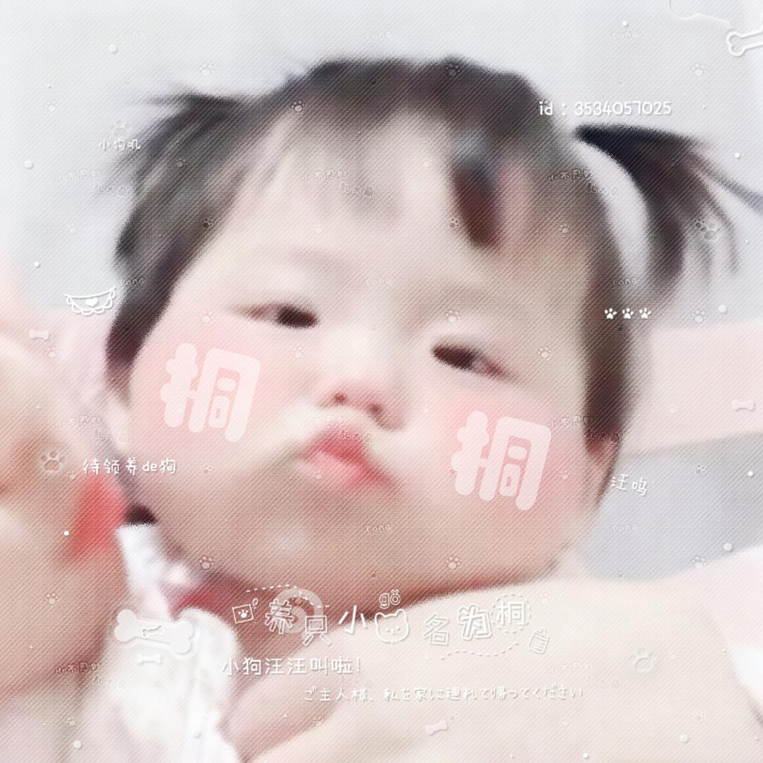小猪包