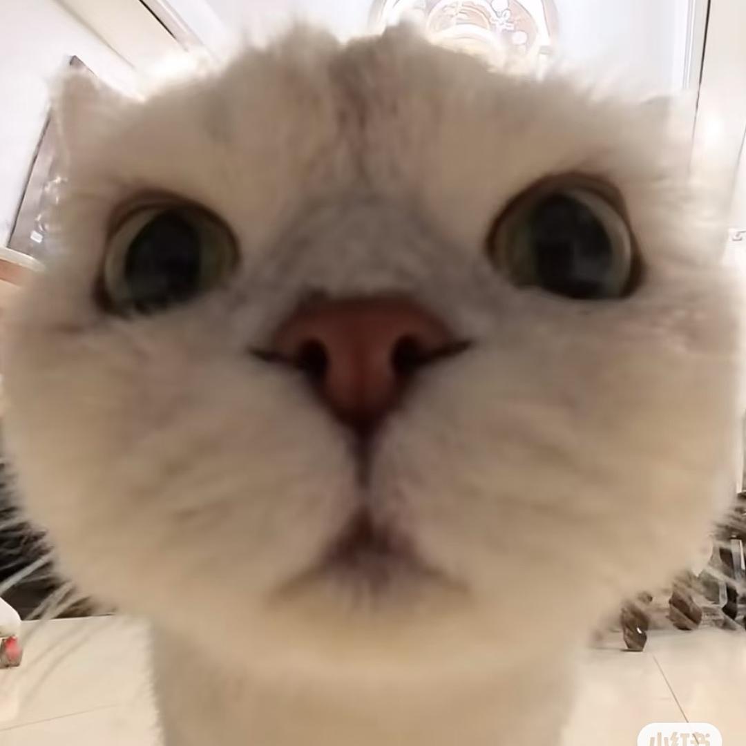 kyuuuu.1