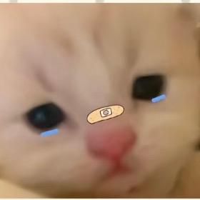 椿．R