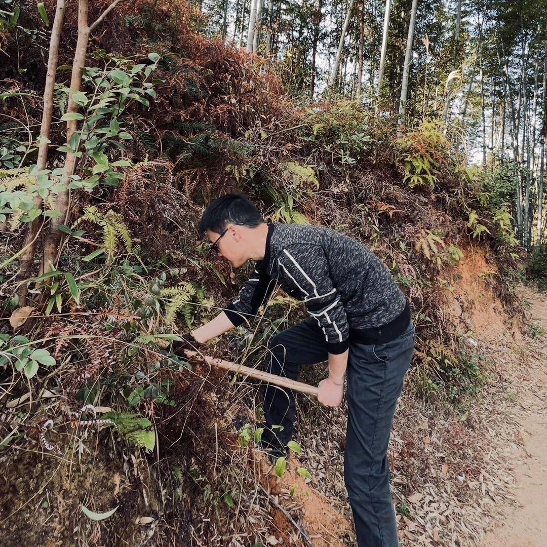 三农人金哥