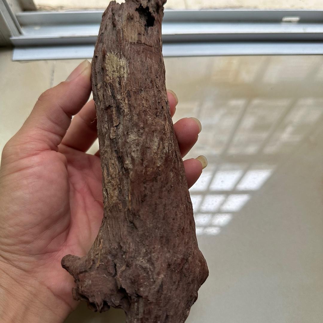 红降花梨公