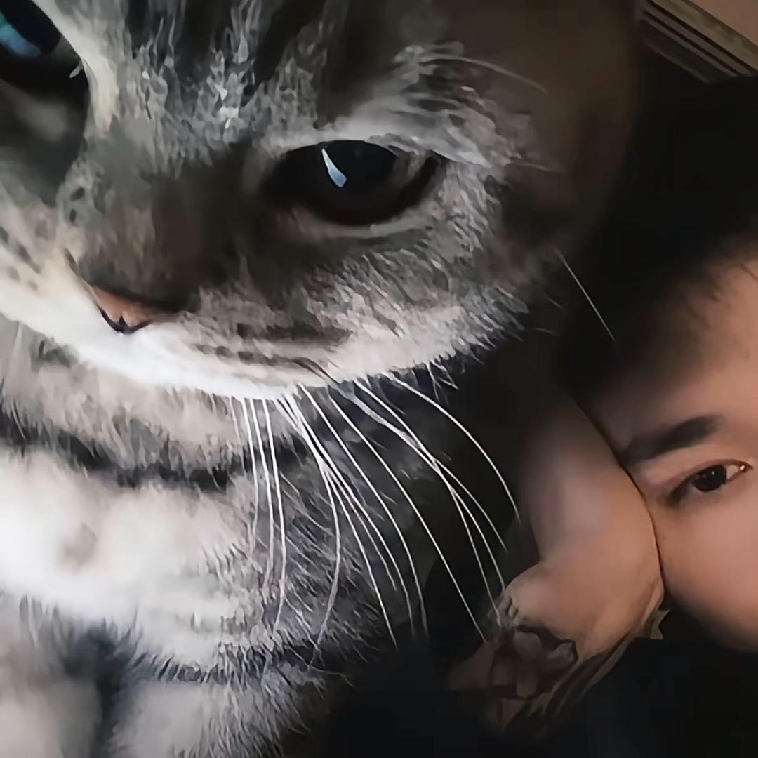 无敌小小翰.