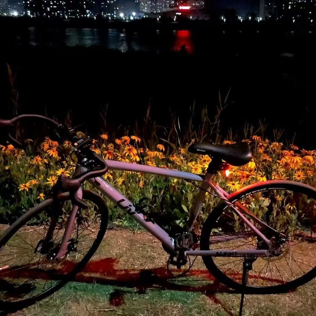 馨馨爱骑车