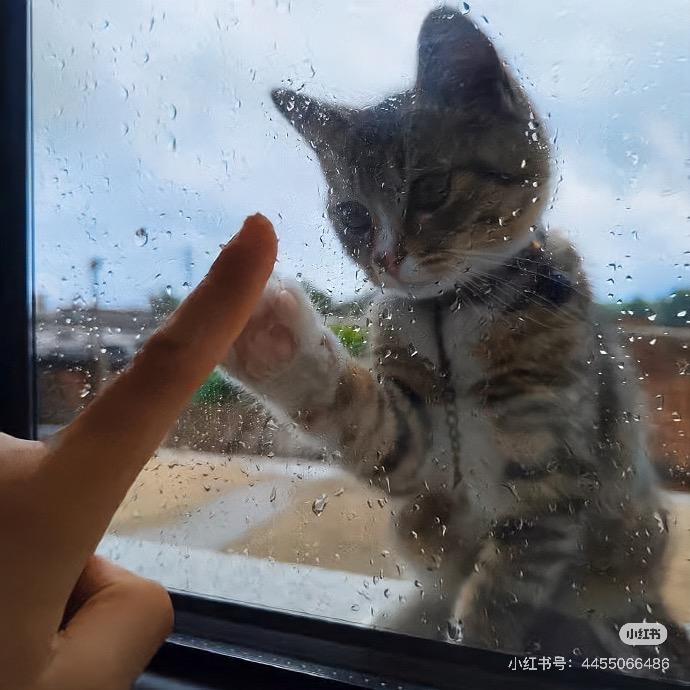 滚。