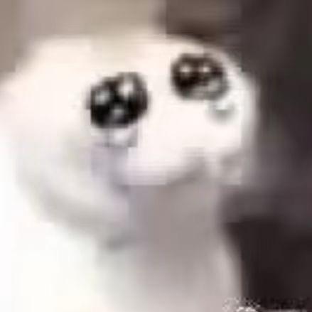 老鸭煲