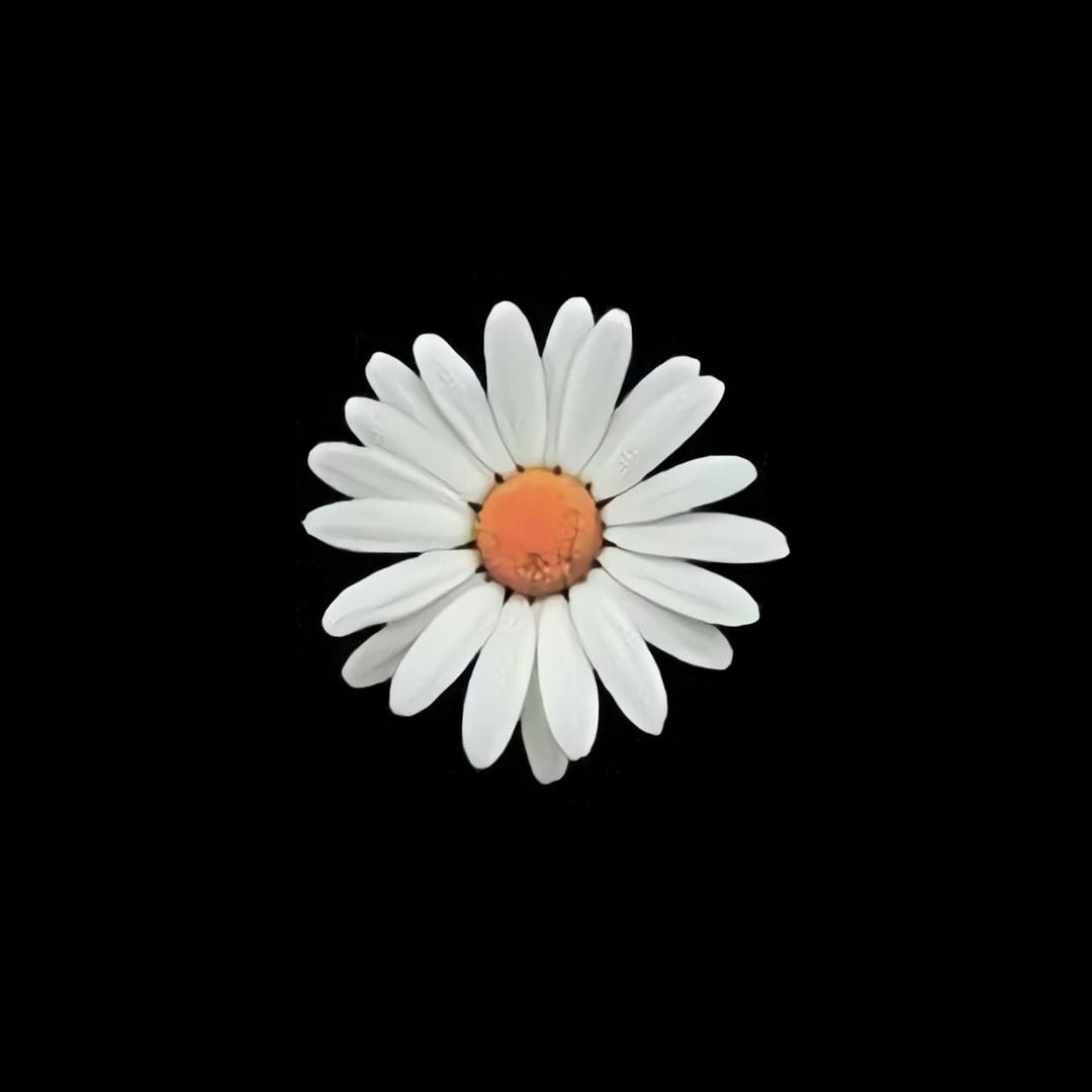 何以解忧 唯有自渡