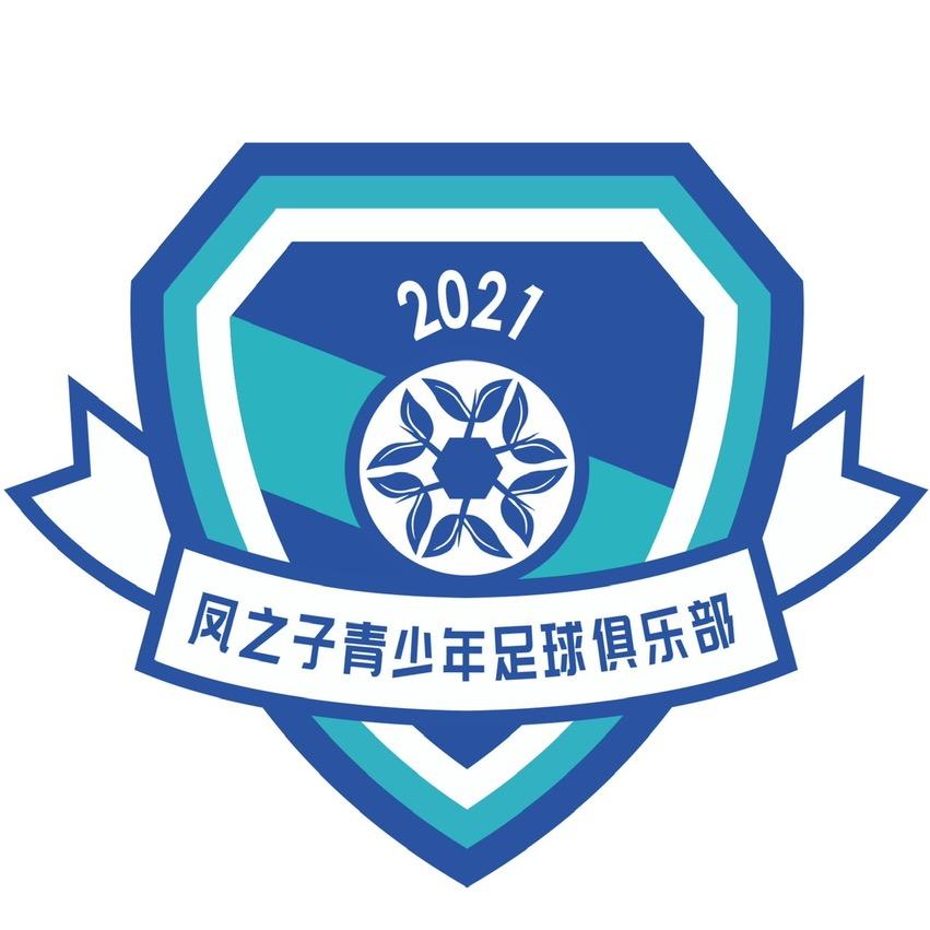 凤之子青少年足球俱乐部