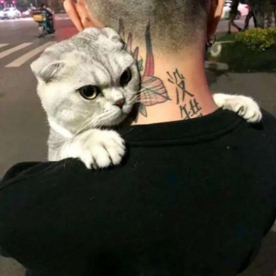 北上