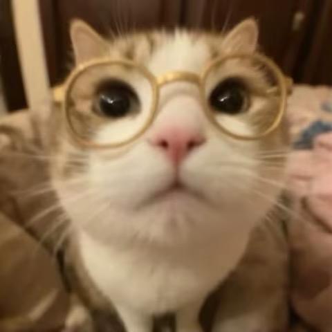 Harlan