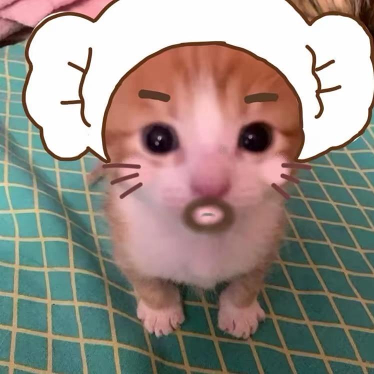 𝙧