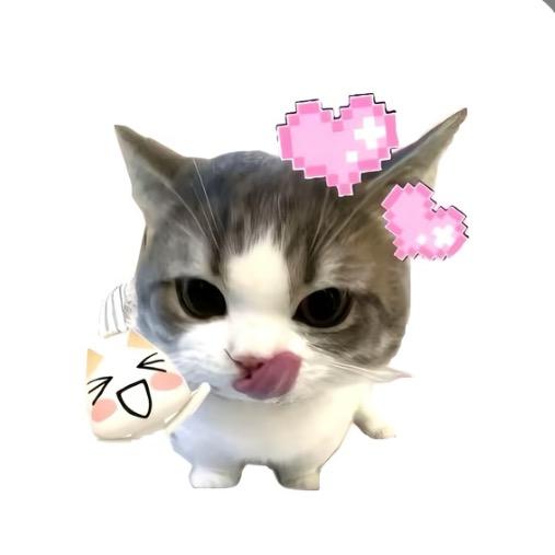 汀汀