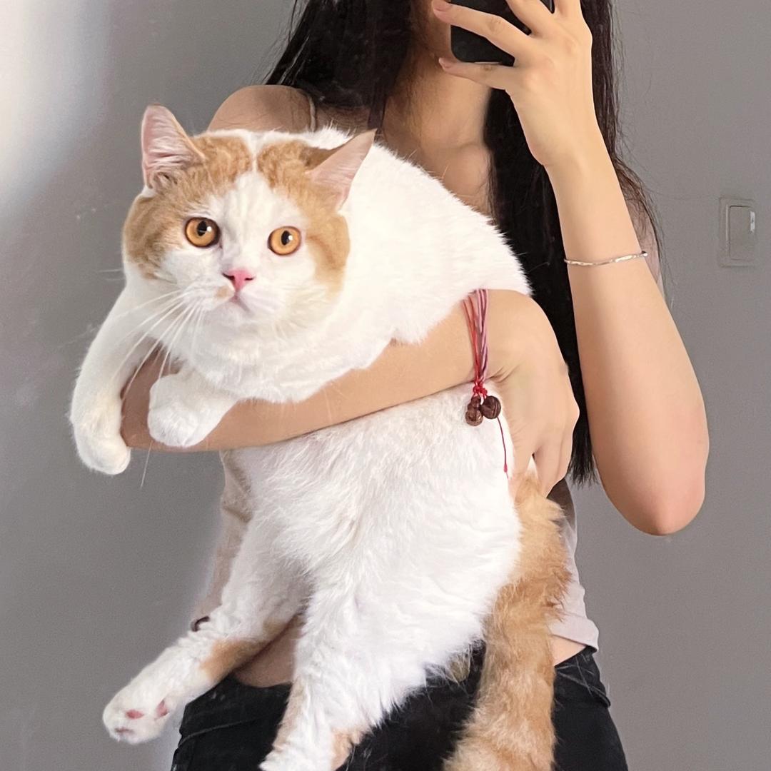 王漂亮呀