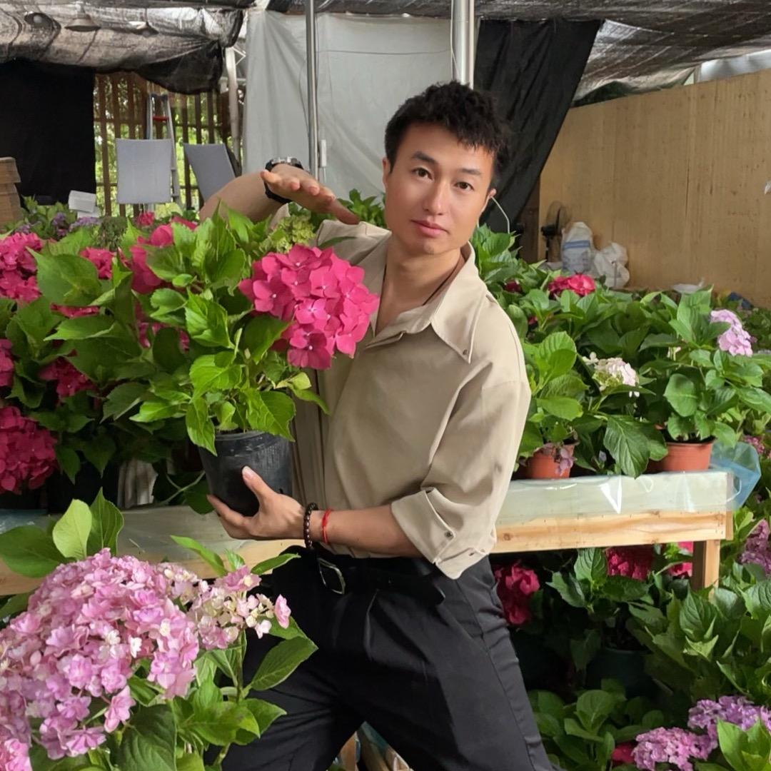 牛王花卉