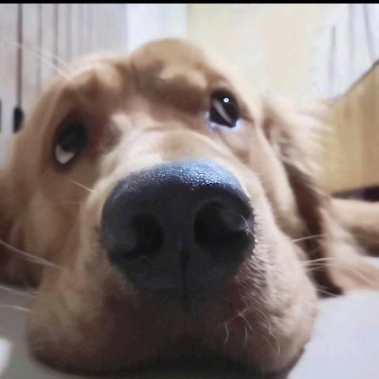 绾绾