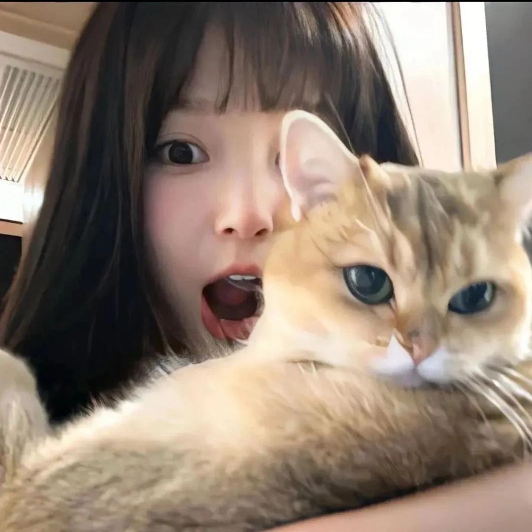酸菜鱼