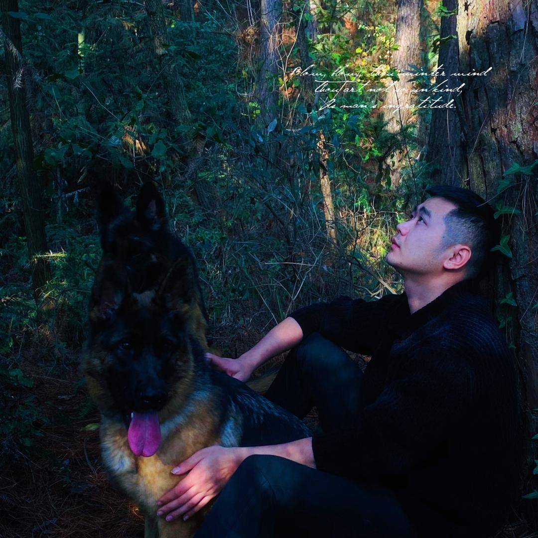 贵州勇胜•德牧犬业