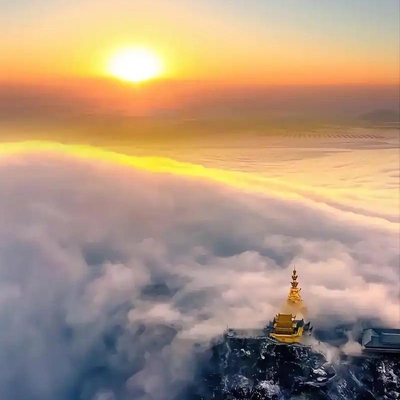 六时吉祥☀️🌷