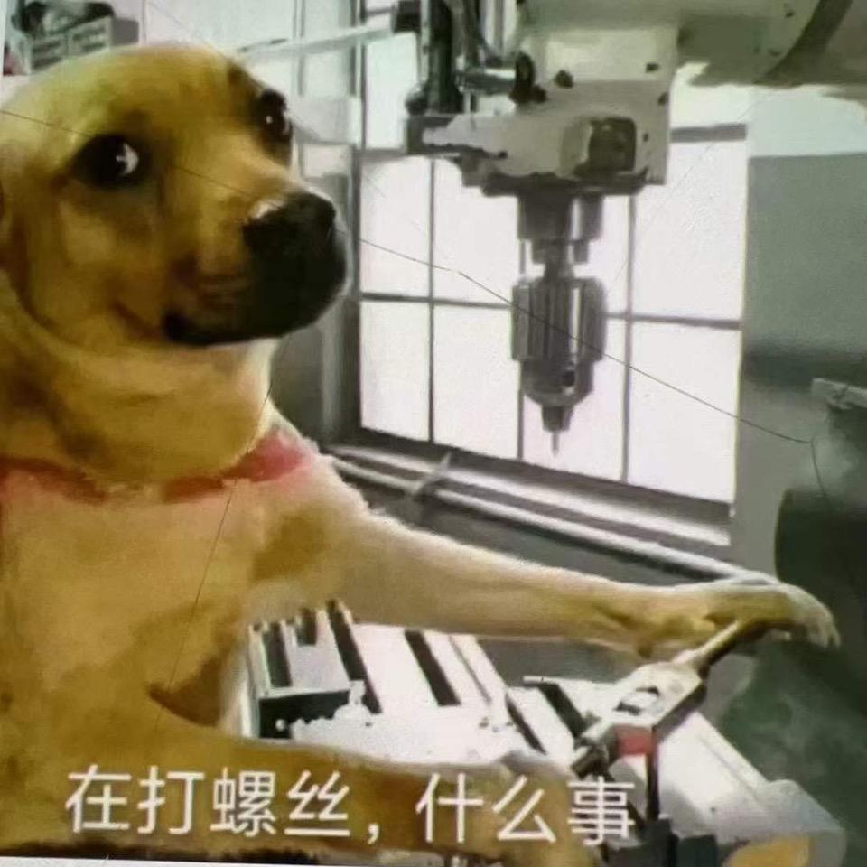 雕狸狮狒头像
