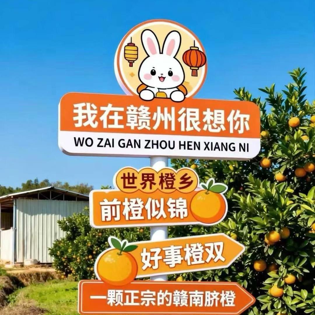 🍊赣南脐橙🍊