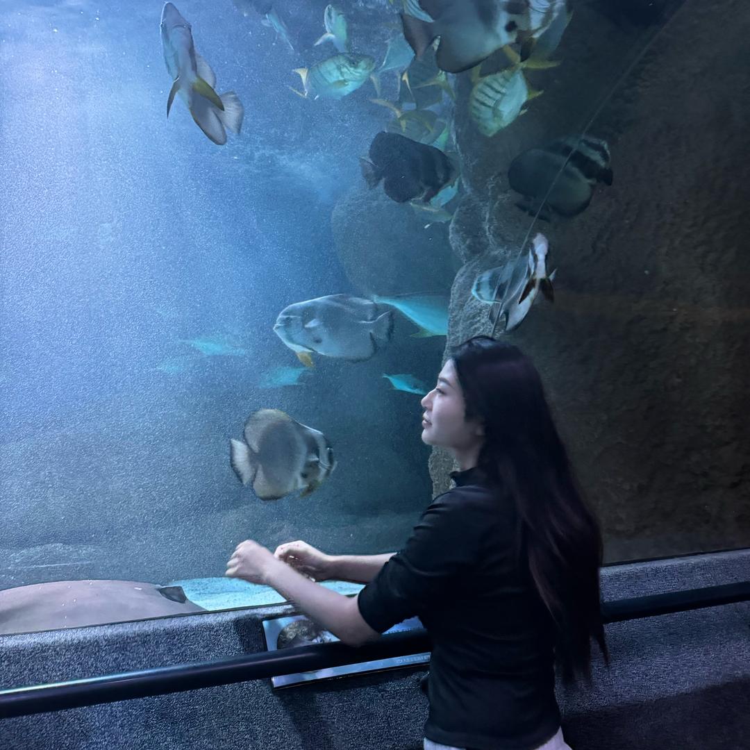 熠熠生辉的小太阳 