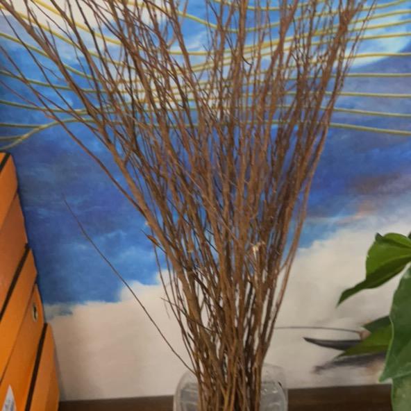 爱乐坊服饰箱包