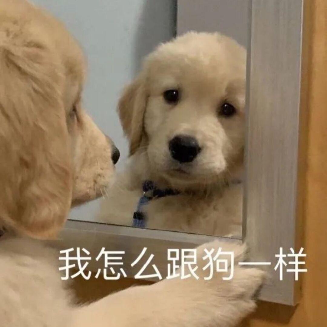 麻辣甜甜圈