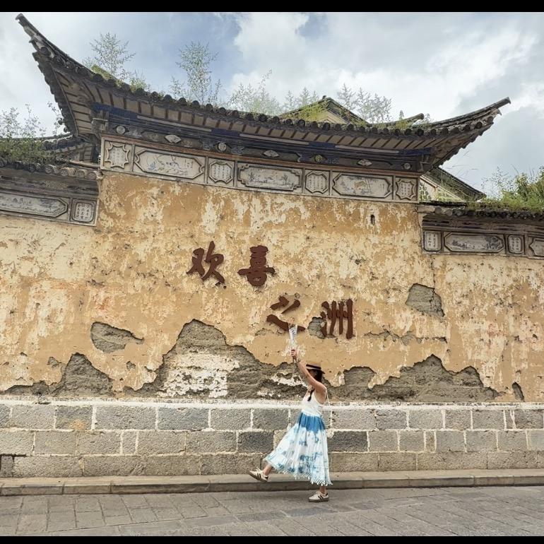 呆呆