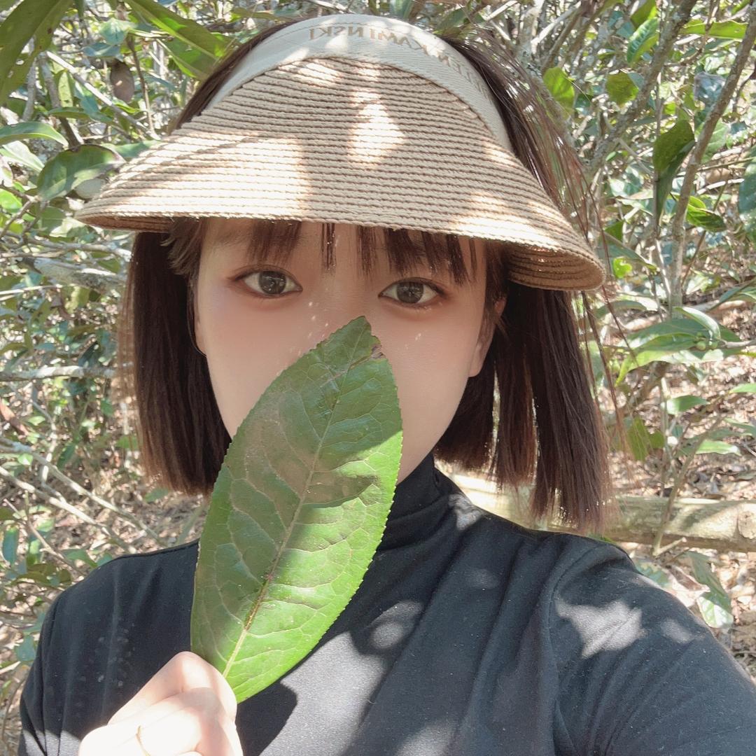 忙肺老寨遇陈茶业