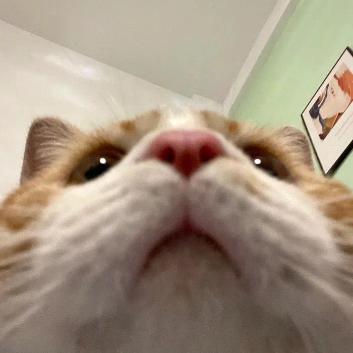妳