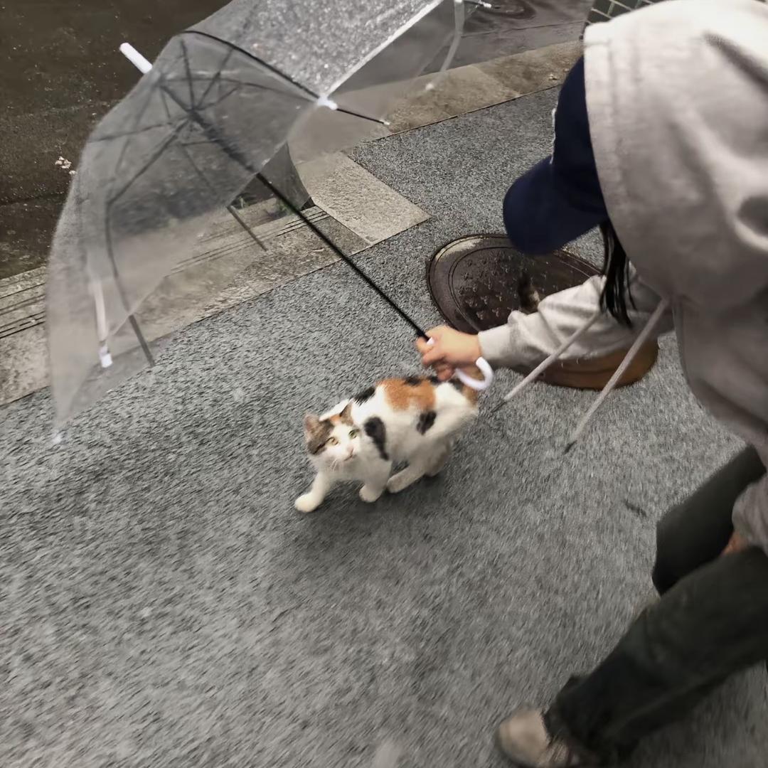 点男模没付钱被打断腿
