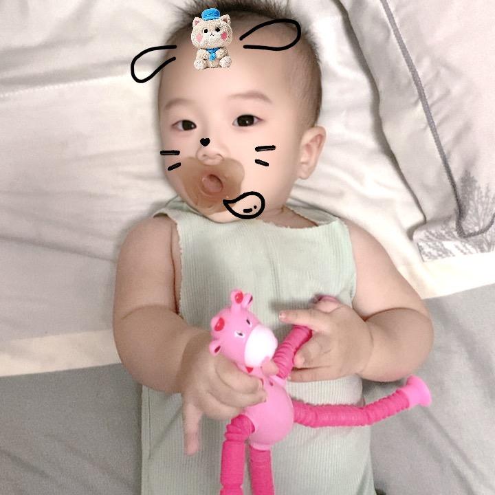 无敌小团团