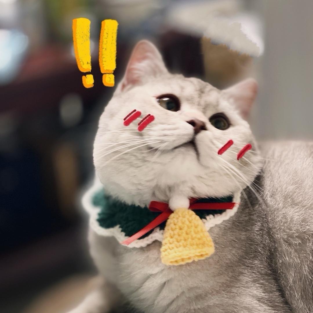 叽呱来啦