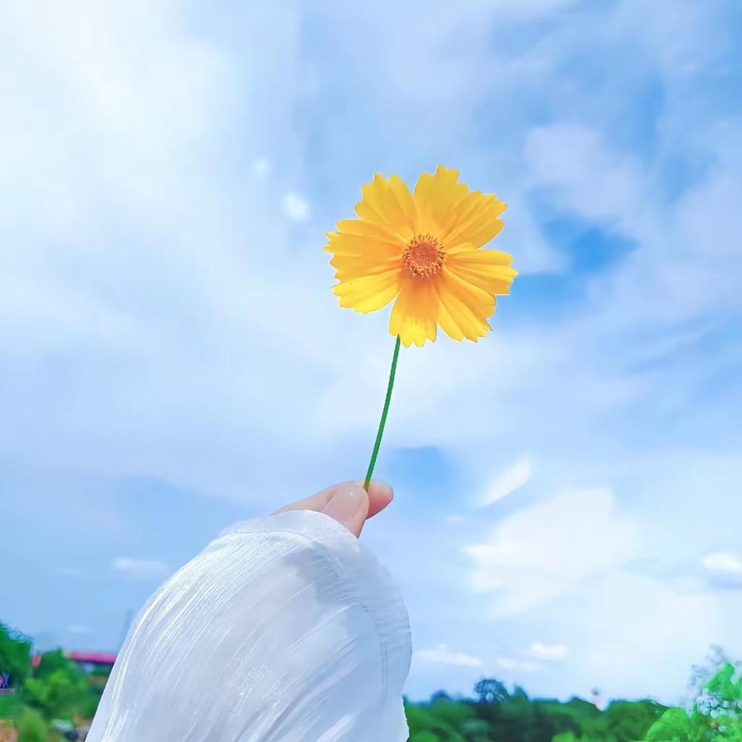饶薇薇🎙️