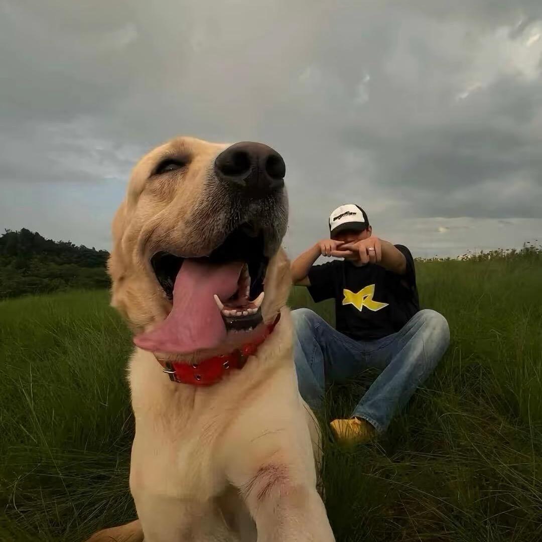 爱吃螺蛳粉的小陈.