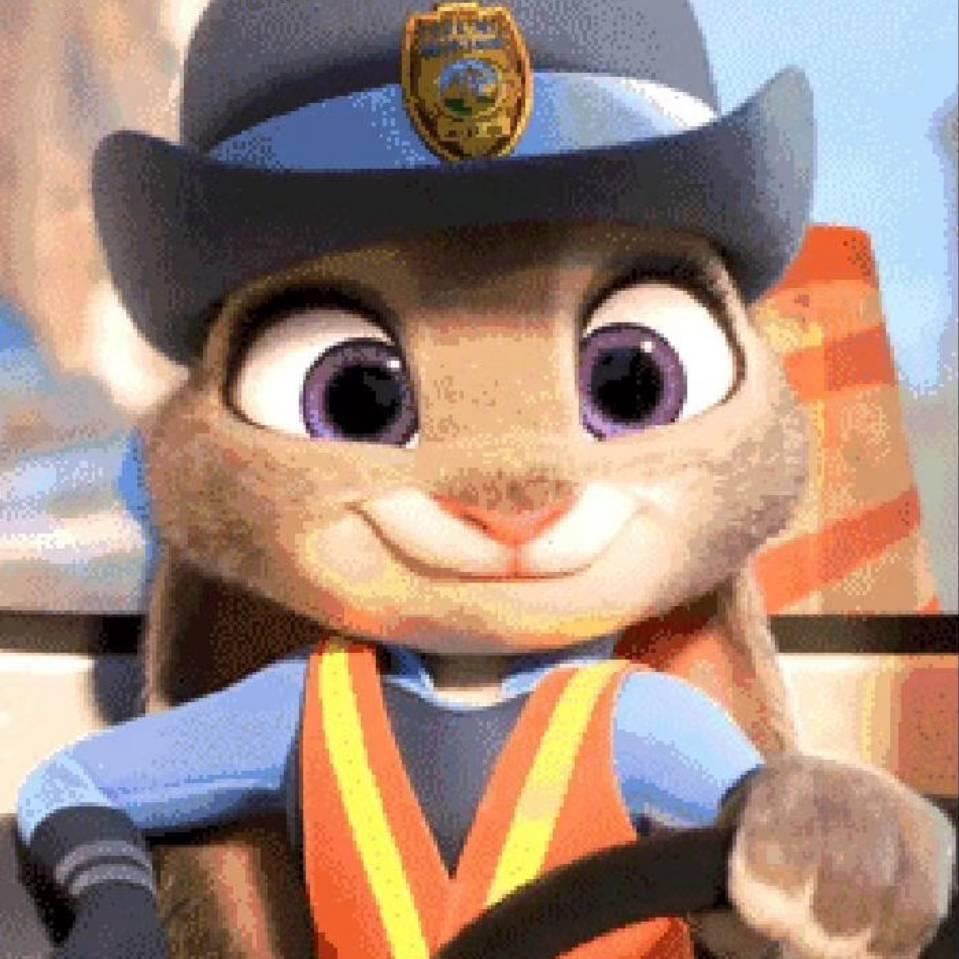 🌈阳光下的野兔子🌈